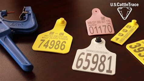 canadian rfid tags|canadian cattle tags.